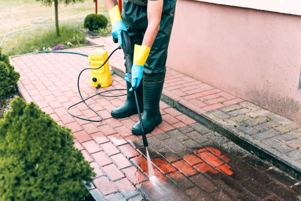 Reliable South Greeley, WY Pressure washing Solutions